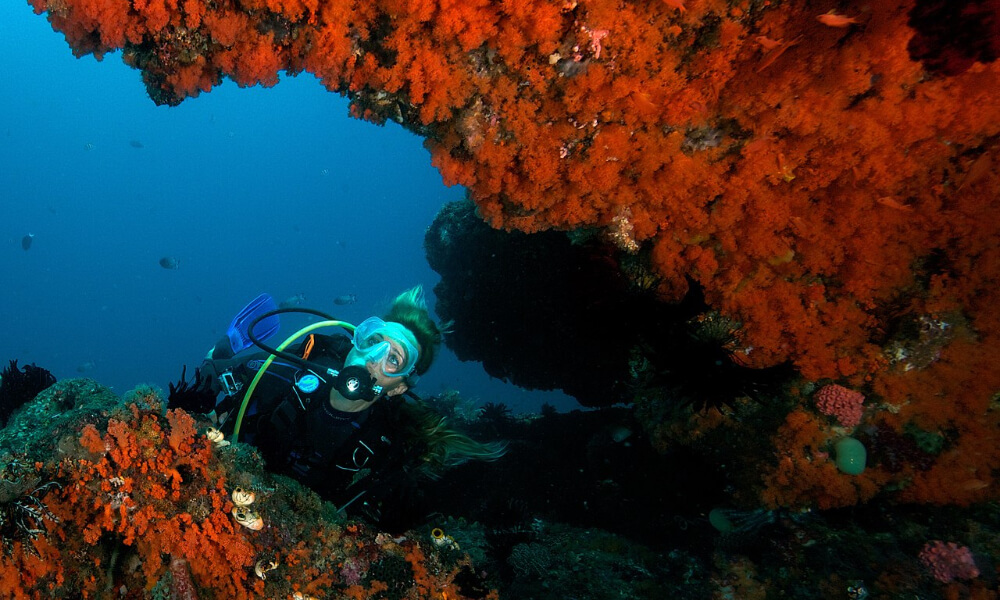 Scuba Diving Sites Around the World