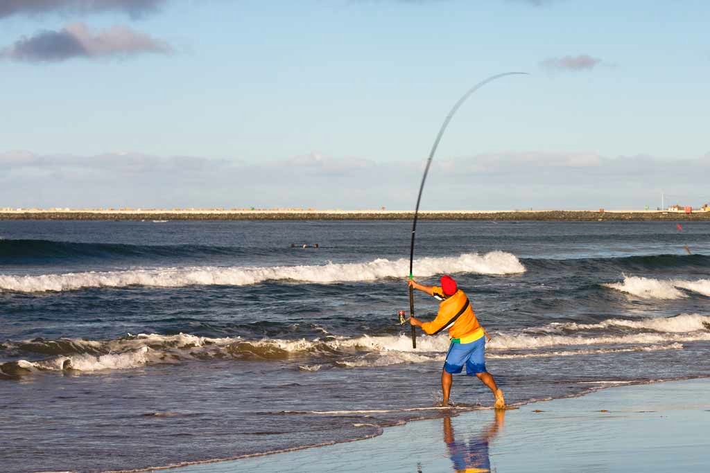 Surf Fishing Rods: Gear Up for Shoreline Adventures and Big Catches