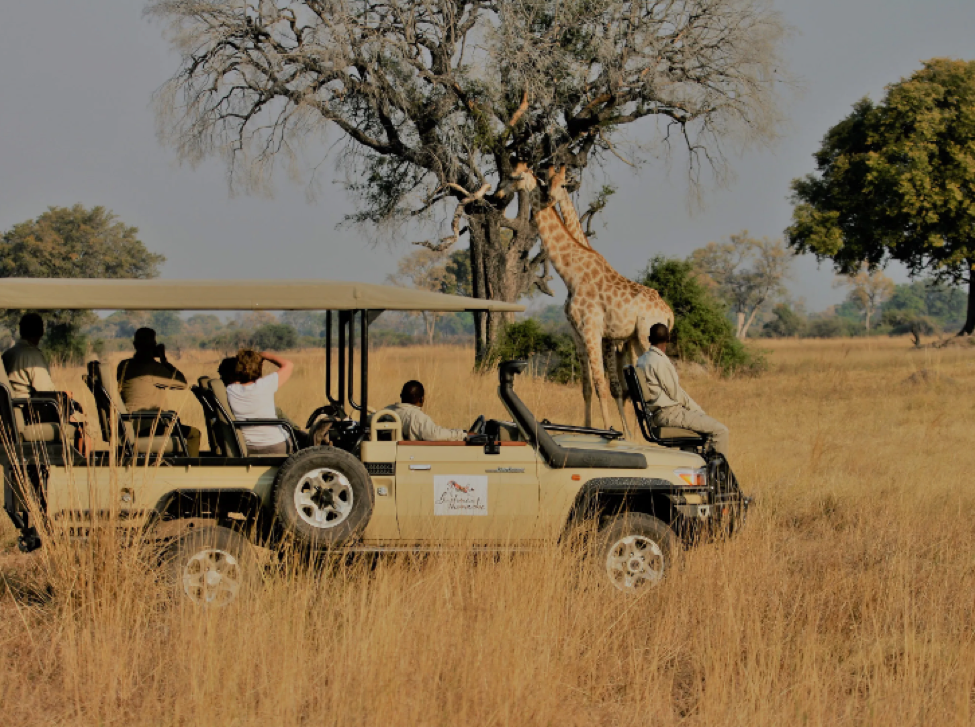 Why Mobile African Safari Vacations Are A Superb Choice