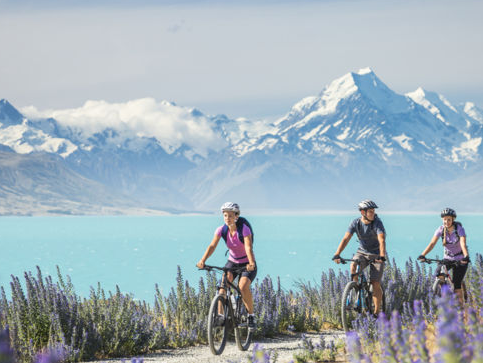 A Cyclist’s Guide to Tours by a Bike in New Zealand