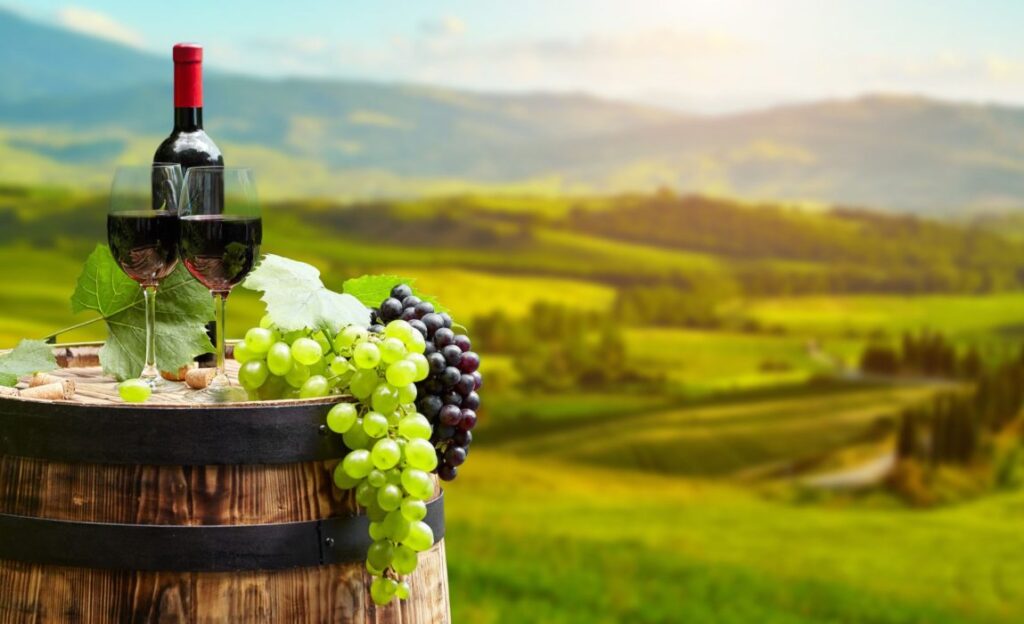 Wine, Views, and Memories: Hunter Valley Tour Delights