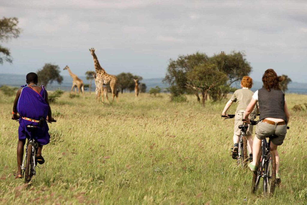 10 Thrilling Activities for an Unforgettable African Safari